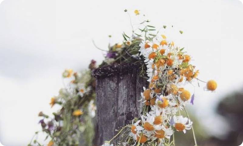 Wedding Experience Eventi di prestigio